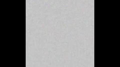 Charlotte online show from March 2025 04:13:02 PM