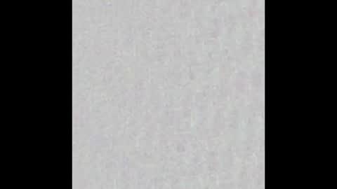 Charlotte online show from March 2025 03:13:02 PM