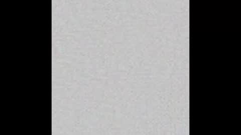 Charlotte online show from September 2025 04:32:01 PM