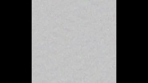 Charlotte online show from October 2025 04:33:01 PM