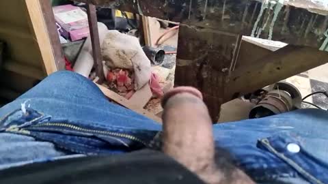 Snapshot of charly2289 chatting on September 2025 01:32:01 PM Parcero online show from September 2025 01:32:01 PM