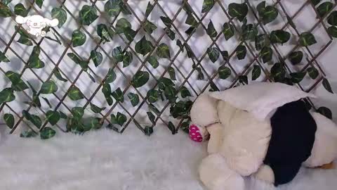 charly_evans60 online show from February 2025 09:57:01 PM