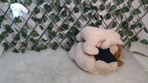 charly_evans60 online show from March 2025 11:09:02 PM