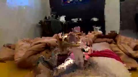 chasejase20333 online show from February 2026 02:10:02 AM