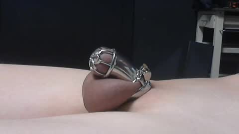 chastity4life online show from April 2026 03:20:02 AM