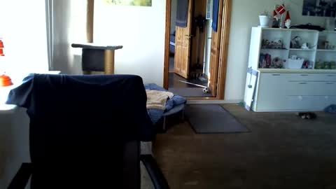 Snapshot of chefben666 chatting on March 2026 03:56:01 PM chefben666 online show from March 2026 03:56:01 PM