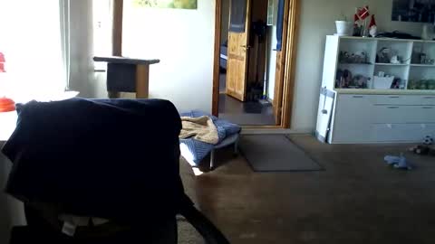 Snapshot of chefben666 chatting on April 2026 09:25:02 AM chefben666 online show from April 2026 09:25:02 AM