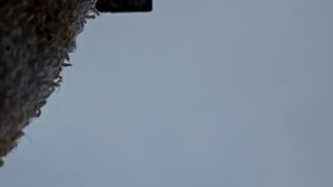 Snapshot of cheffydl chatting on November 2025 12:47:01 PM cheffydl online show from November 2025 12:47:01 PM