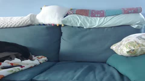 Chelsea online show from January 2025 08:37:01 PM