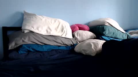 Chelsea online show from November 2025 04:07:02 PM