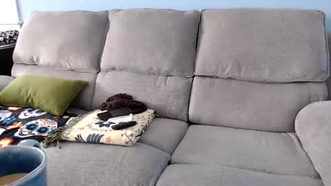 Snapshot of chelseasentra1 chatting on February 2026 04:49:02 PM Chelsea online show from February 2026 04:49:02 PM