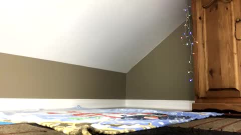 chenovich online show from January 2025 01:42:02 PM