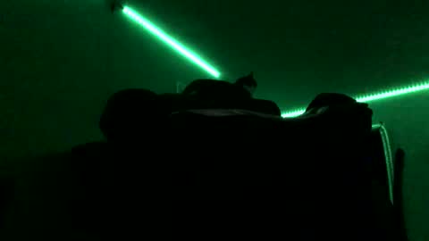 chenovich online show from November 2025 09:04:01 AM