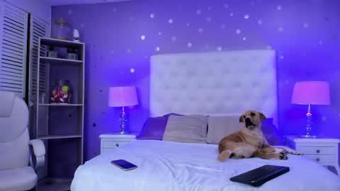 Sussan Cherry  online show from February 2025 04:24:02 AM