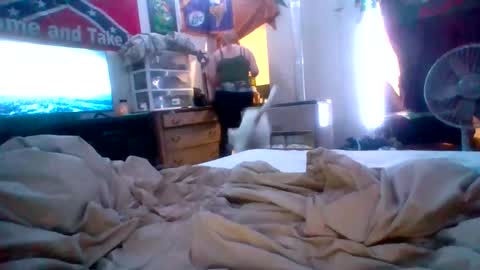 cherrybomb454 online show from February 2026 05:31:01 PM