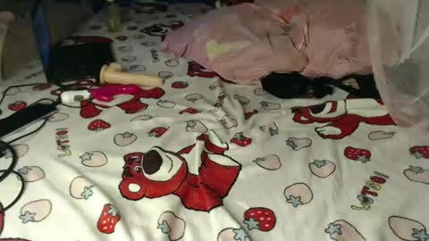 Cherry online show from April 2026 04:54:01 PM