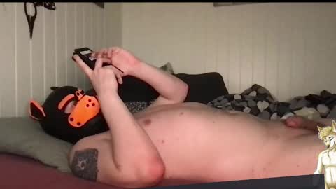 Snapshot of chestandbellyfetish chatting on March 2026 05:34:01 PM ChestBellyFetish online show from March 2026 05:34:01 PM