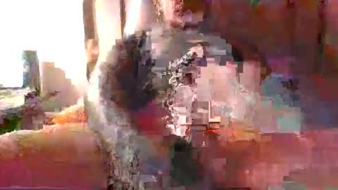 chikoink43 online show from December 2024 05:22:02 AM