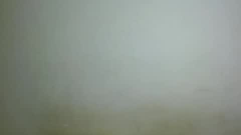 Snapshot of chocolatebony_ chatting on January 2025 10:05:01 PM chocolatebony_ online show from January 2025 10:05:01 PM