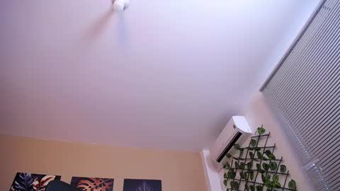 Christopher Black online show from December 2025 01:06:01 PM