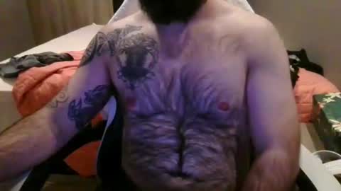 chub bear 99 online show from June 2026 09:32:02 PM
