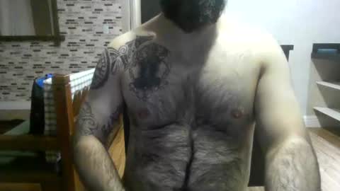 chub bear 99 online show from August 2026 01:07:01 AM