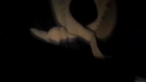 chuck7891 online show from November 2025 12:47:01 AM