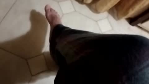 ciccilli online show from November 2025 10:31:02 PM