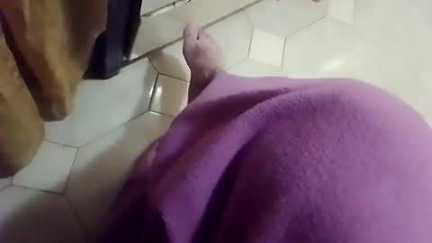 ciccilli online show from April 2026 07:19:02 PM