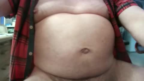 Circus Bear online show from February 2026 04:00:02 PM