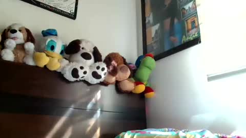 clair_of online show from June 2026 08:29:02 PM