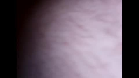 clit_commander209 online show from November 2025 07:54:01 AM