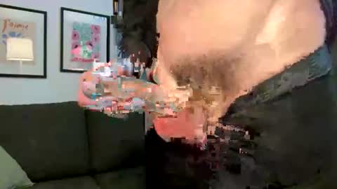 cobrasmith online show from July 2026 01:29:01 AM