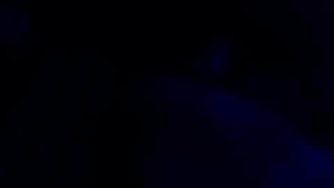 Cocolino  online show from May 2026 08:36:01 PM