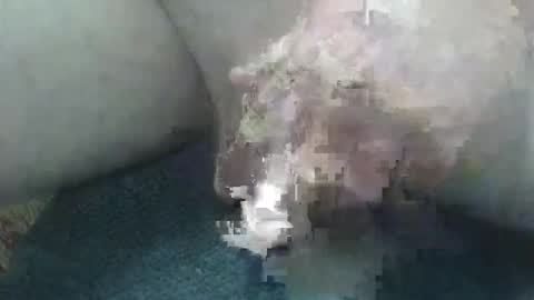 Snapshot of cocktoys chatting on February 2026 05:50:02 AM cocktoys online show from February 2026 05:50:02 AM