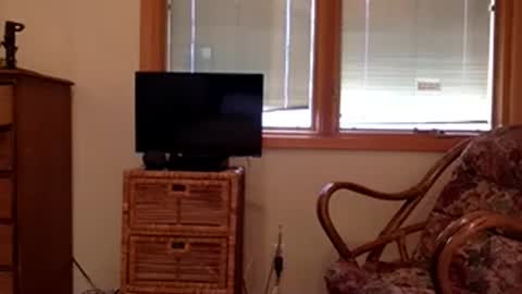 Snapshot of codebynova chatting on November 2025 07:56:02 PM Code By Nova online show from November 2025 07:56:02 PM