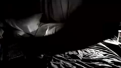 Snapshot of cojax1414 chatting on September 2025 02:04:02 AM Mr. Fun Time online show from September 2025 02:04:02 AM