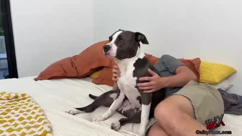 Snapshot of colbyknox chatting on November 2025 10:53:02 PM colbyknox online show from November 2025 10:53:02 PM