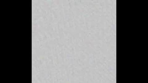 colgategrate online show from February 2026 04:19:02 PM