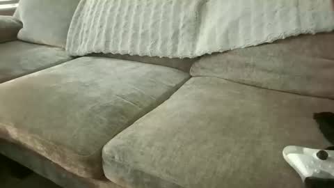 Snapshot of collegebroa chatting on October 2025 11:07:01 PM collegebroa online show from October 2025 11:07:01 PM