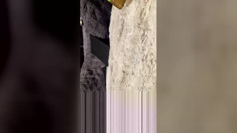 comeongirlts online show from April 2026 04:21:01 AM