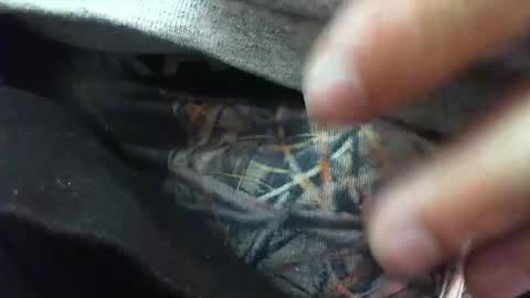 comox online show from March 2025 08:30:01 AM