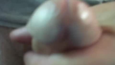 comox online show from March 2026 09:24:02 AM