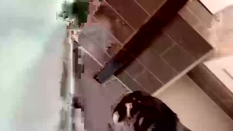 concernsburn online show from January 2026 04:48:02 AM