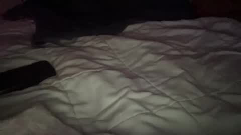 Snapshot of concretecarpenter chatting on November 2025 08:12:01 AM concretecarpenter online show from November 2025 08:12:01 AM