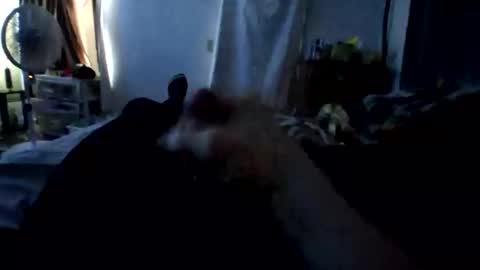 connlee10929154 online show from January 2026 02:21:02 PM