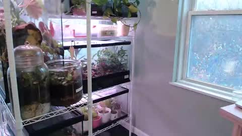 Snapshot of constantcumquest chatting on November 2025 05:22:01 PM ANR Mommy online show from November 2025 05:22:01 PM