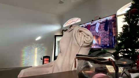 controllercutie online show from December 2025 02:45:02 PM