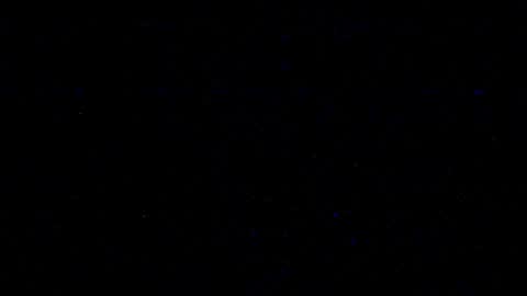 cookieforme online show from February 2025 10:09:01 PM