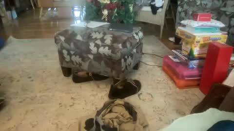 whatever you want it to be online show from December 2024 07:15:02 PM